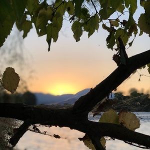 Meet your Posher, Greg